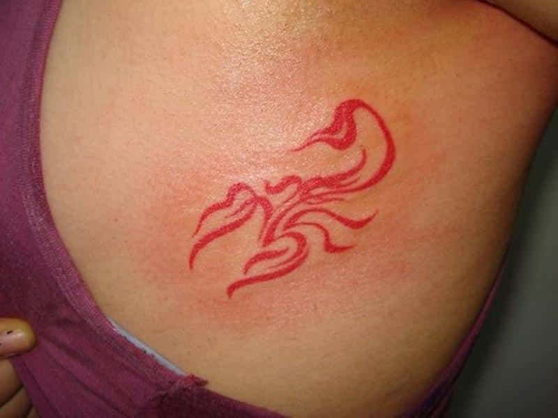 Scorpio Tattoos on body