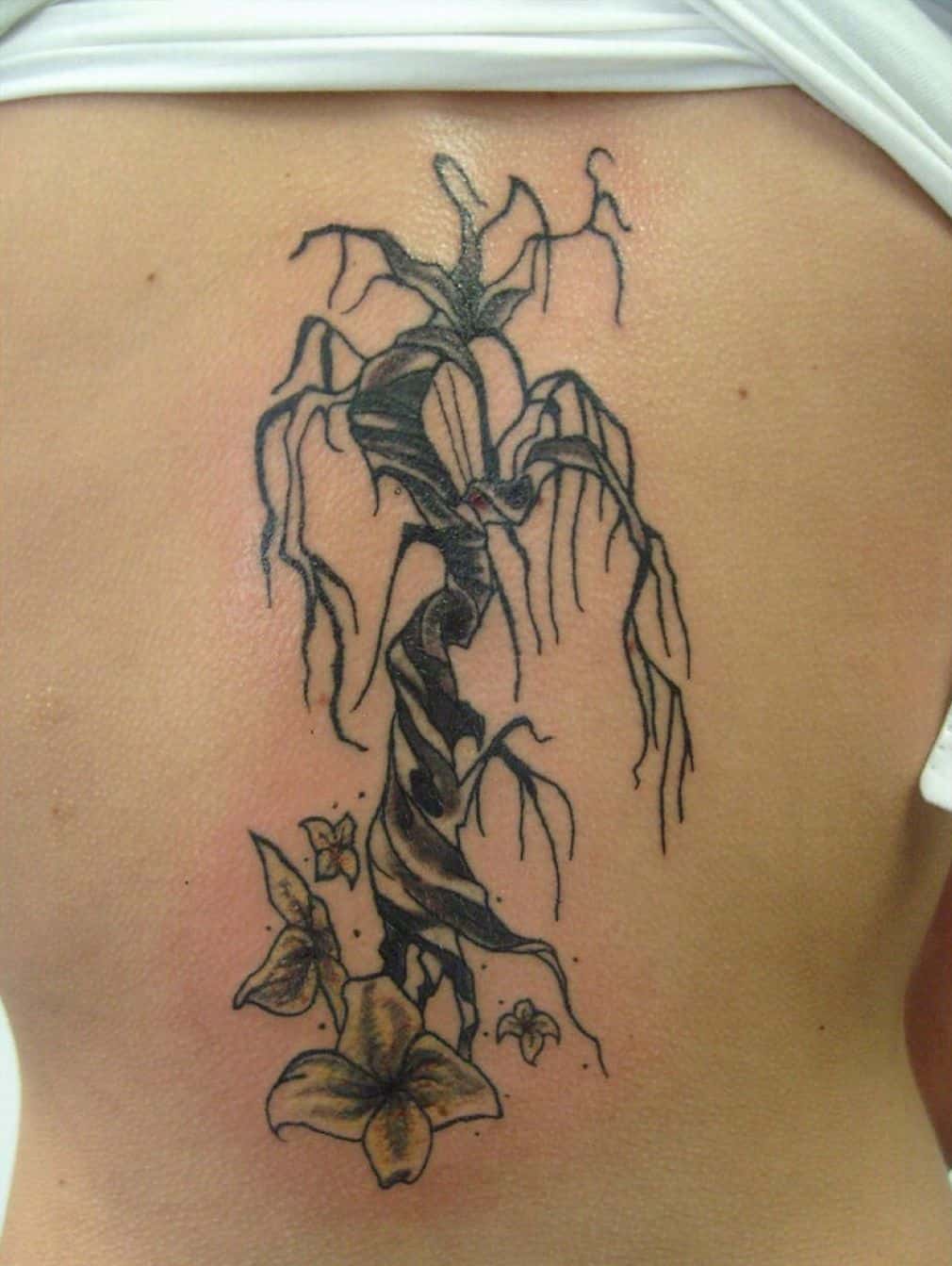 Awesome Tree Tattoo On Back