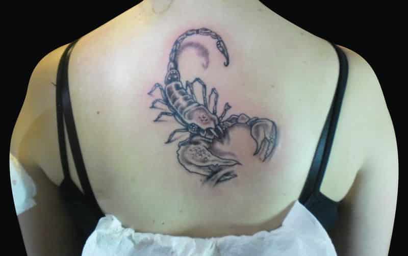 grey ink scorpio tattoo on upperback
