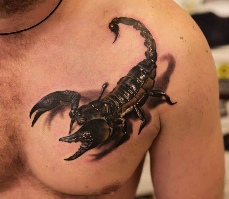 scorpion tattoo on front