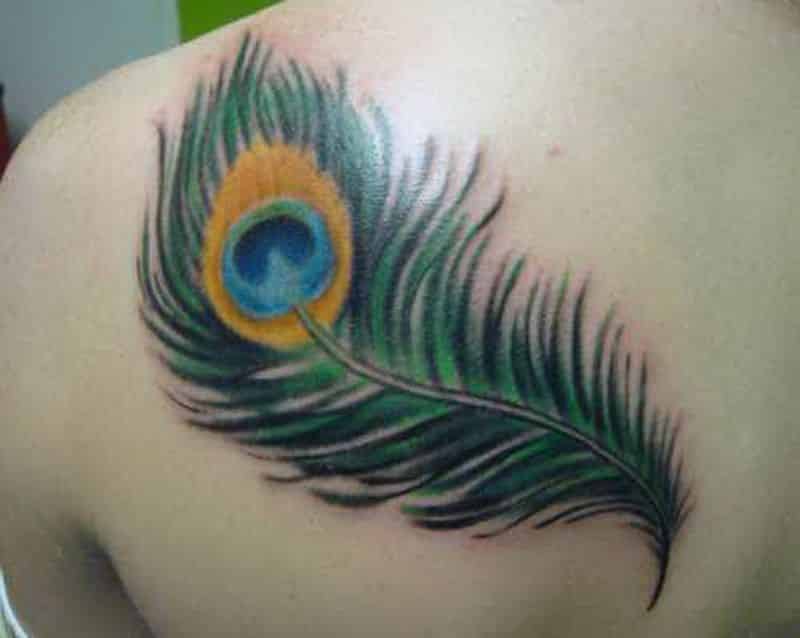Peacock Feather Tattoo Design