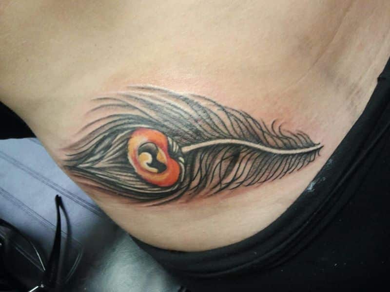 Peacock Feather Tattoo Designs For Women