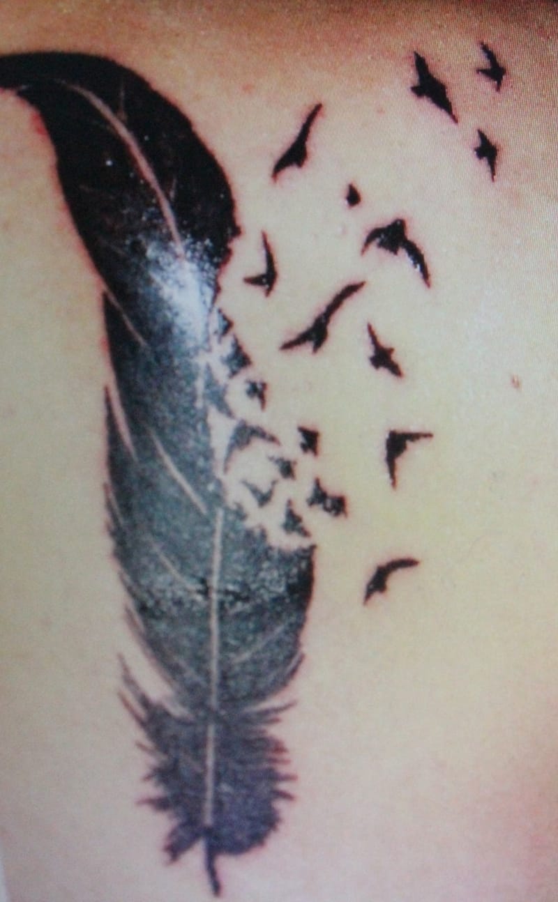 Wonderful Feather Turning Into Birds Tattoo Design