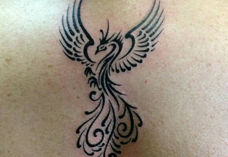 30 Phoenix Tattoo Designs To Enhance Your Personality 2023