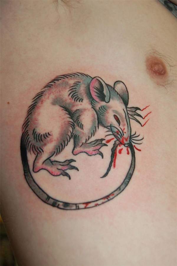best rats get fat tattoo